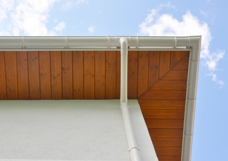Eaves Installation in Overland Park, KS